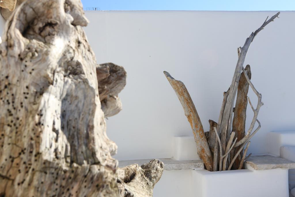 Portadamare Bed & Breakfast Trani Bagian luar foto